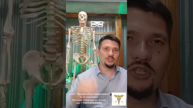 Лечим печенку и желудок.mp4