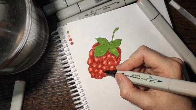 Как нарисовать малину маркерами урок № 14