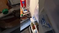 Новогодний шлагбаум