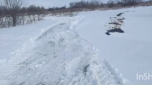 выставка пчёл 2023