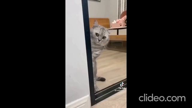 Неопознанное