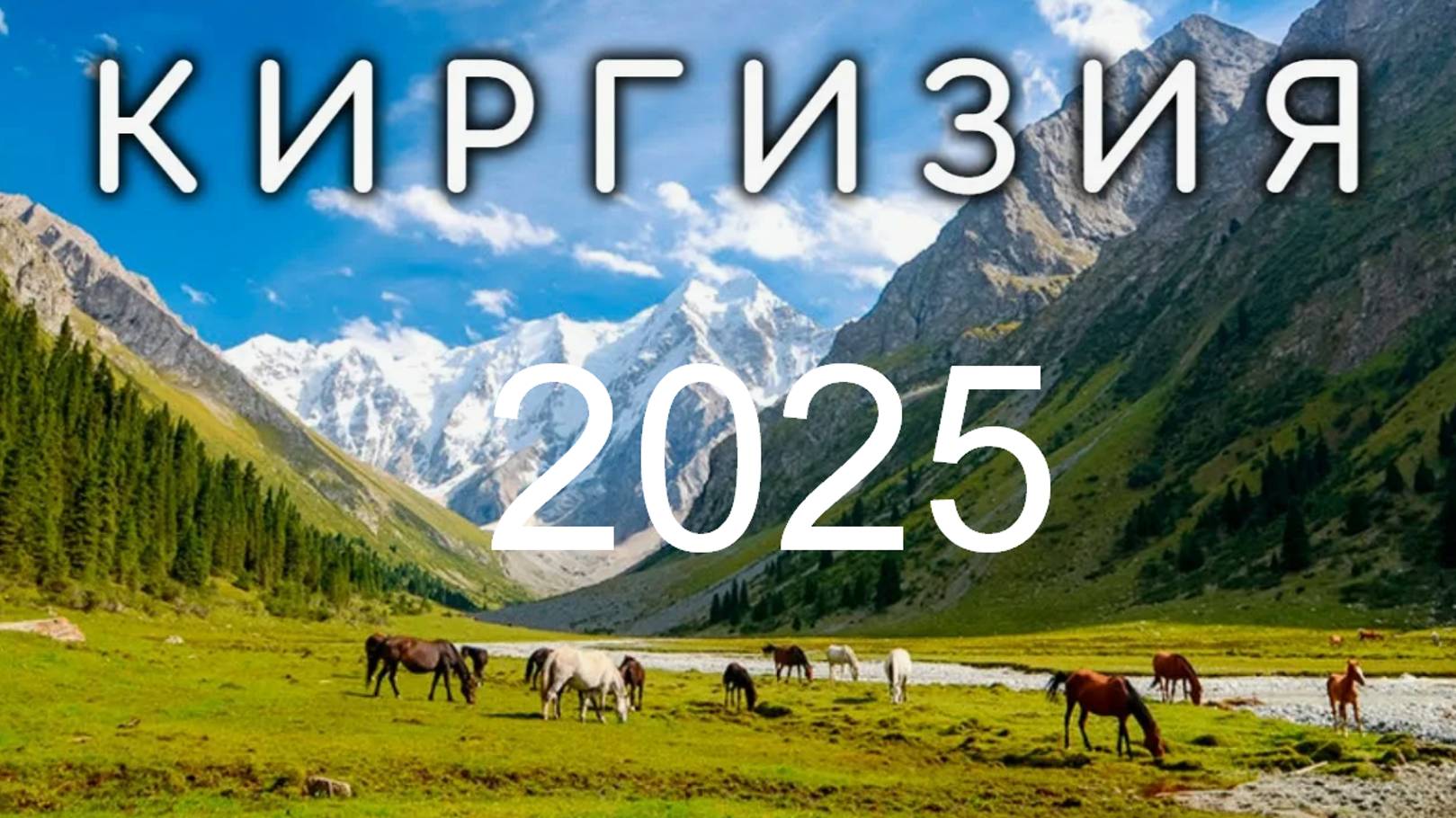 ТАРО #Аврора #гадание Киргизия  2025