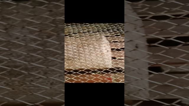 1000008515.mp4 Разбираю свою кровать на куски.😂Инна Гетц.