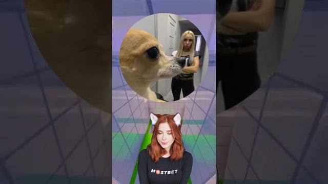 2025-01-02-153311693.mp4