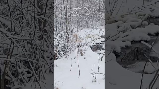 Проверил загон. Один день в пустую