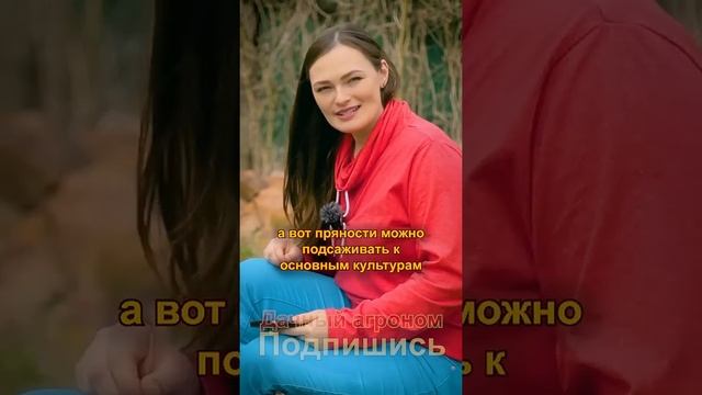 Томаты и перцы ОЧЕНЬ ОБРАДУЮТСЯ этому!