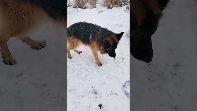 С новым годом вас 💓💓💓