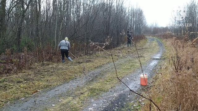 Подготовка дороги к зиме.
