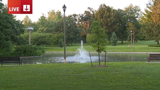 QC Wind Ensemble brings live music to Vander Veer Park