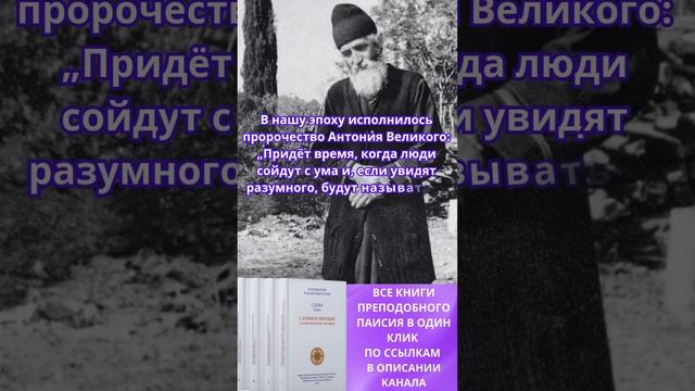 Преподобный Паисий Святогорец: разумного обзовут сумасшедшим, потому что он на них не похож