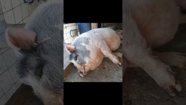 После Новогодних Праздников