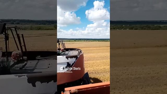 Уборка зерна 2023