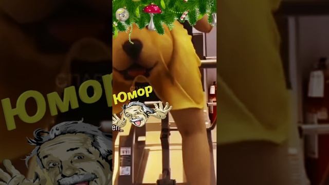 Пёсик