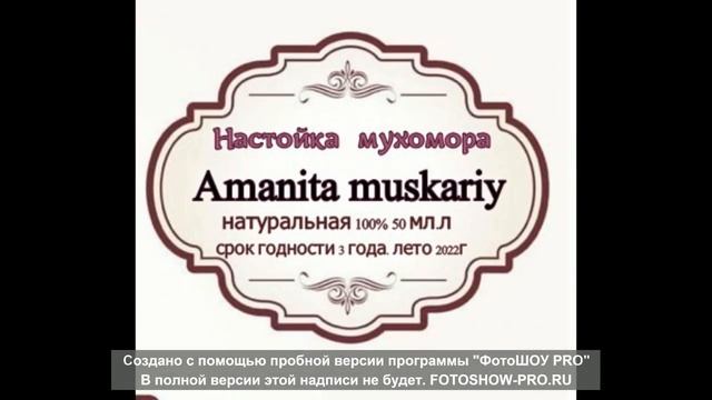 Аманита Мускария, Красный Мухомор! Чудо созданное природой!
