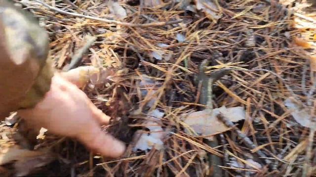 ВотЭто Место!!! Белые грибы. #mushroom