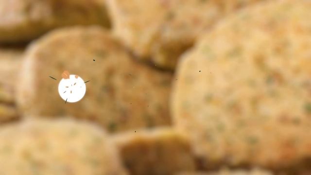 Bonduelle Texas en Falafel Burger NL