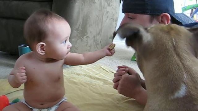 Ava Teasing Daddy with a Bisquit