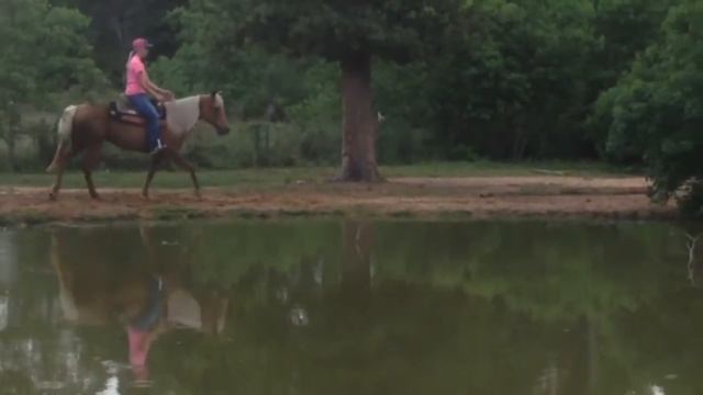 Lemonade trail ride