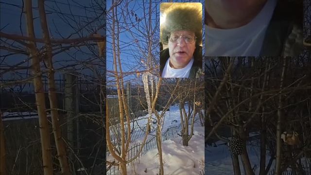 Москва сильный приворот на капель, сосульки, фото