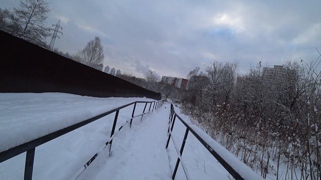 Мотовилихинский дендрарий, долина реки Ивы. 4 янв 2025