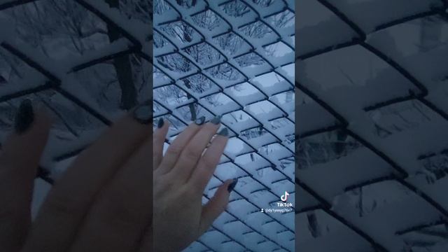 1000176137.mp4