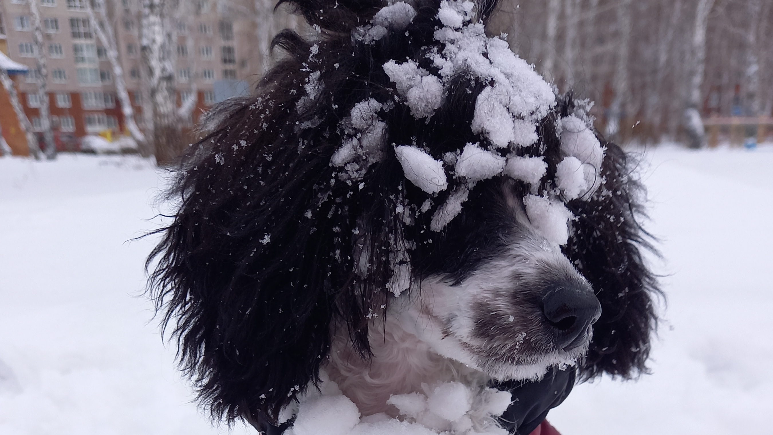 Что было до