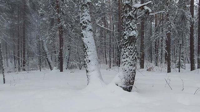 Нет времени тому названья