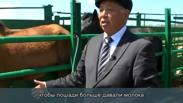 ТОО Зан