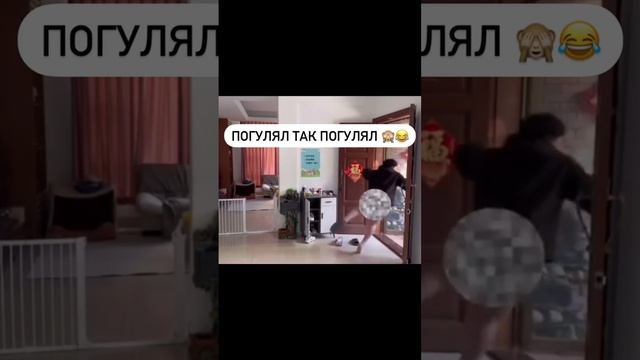 Собака друг человека говорили они 😂