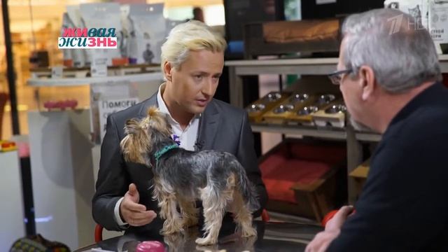 VITAS 🌟📺 - The Secret Life of Pets | Тайная жизнь домашних животных (1TV) - 02/03/2019