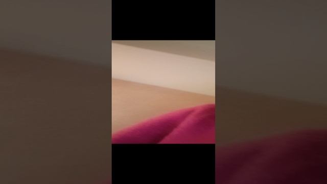 прятки