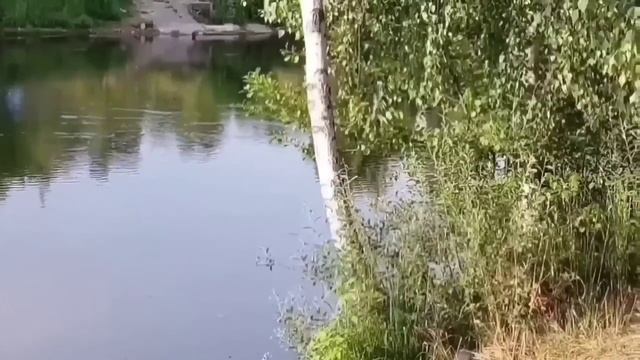 КОРОНА. ВТОРАЯ ЧАСТЬ. ВИНОВАТ ОПЯТЬ СЕРЁЖА. VREDINA. ОБЗОР.