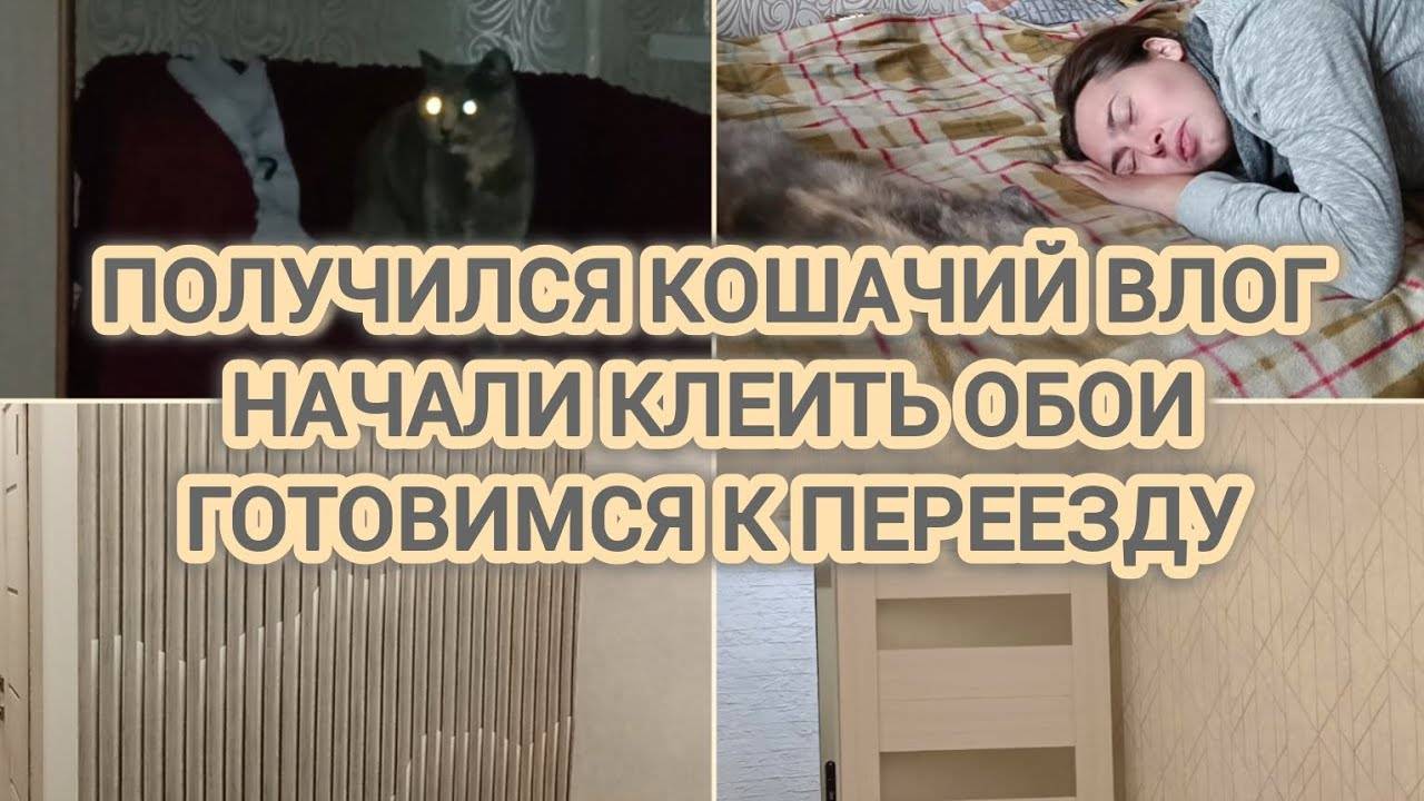 VLOG | ПОЛУЧИЛСЯ КОШАЧИЙ ВЛОГ | НАЧАЛИ КЛЕИТЬ ОБОИ | Я В ВОСТОРГЕ | ГОТОВИМСЯ К ПЕРЕЕЗДУ