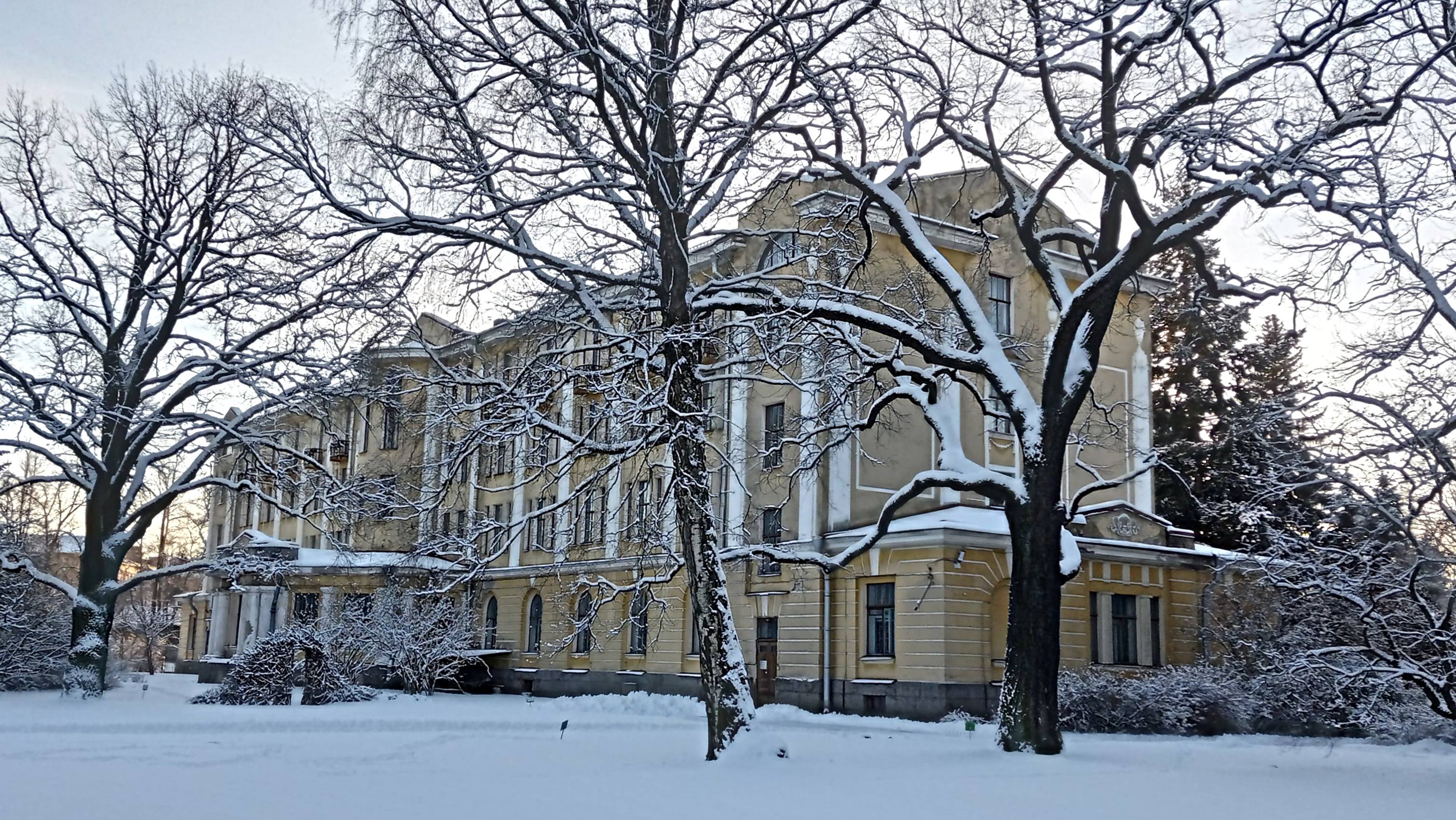 В БОТАНИЧЕСКОМ САДУ