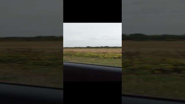 لا، لقد أخذ أحدهم صورة الحياة والموت