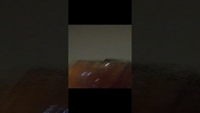 1000005052.mp4