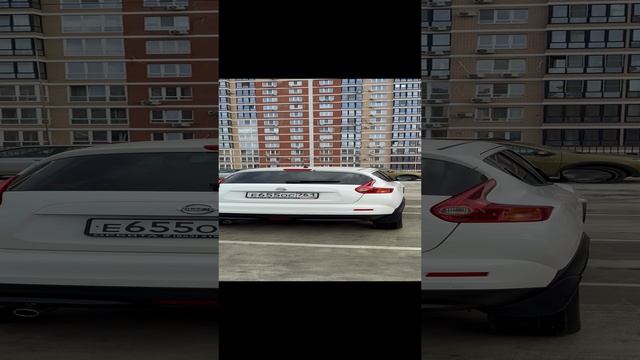 Ниссан Жук