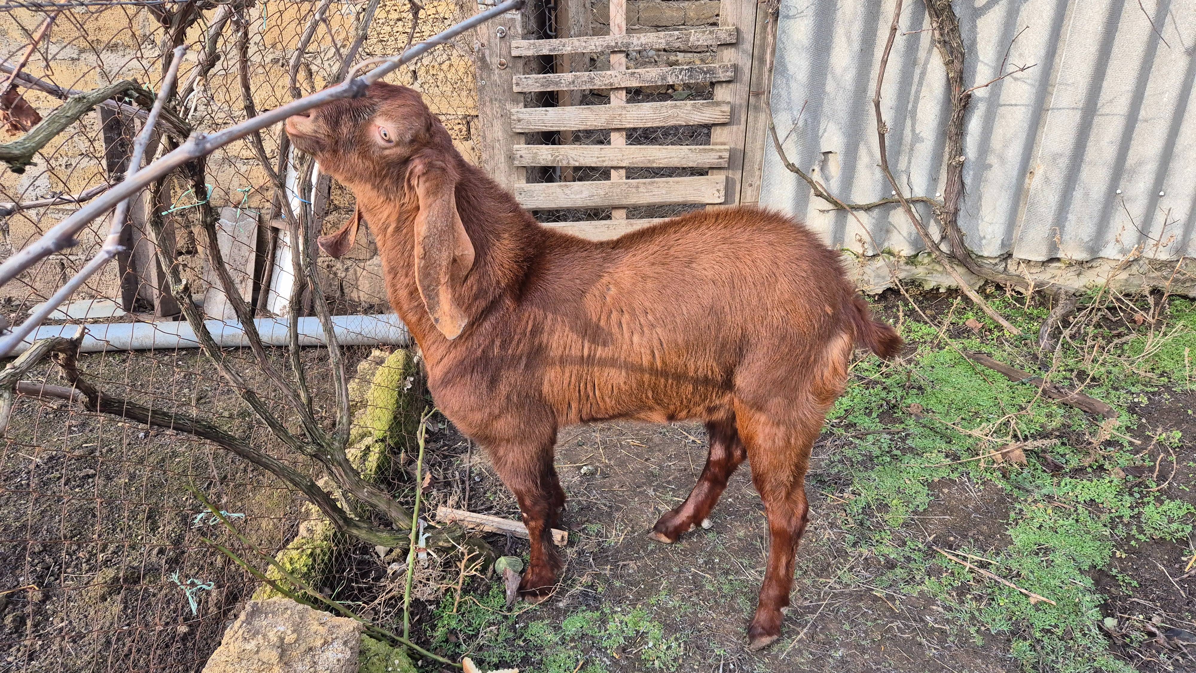 video_2025-01-05_11-53-21