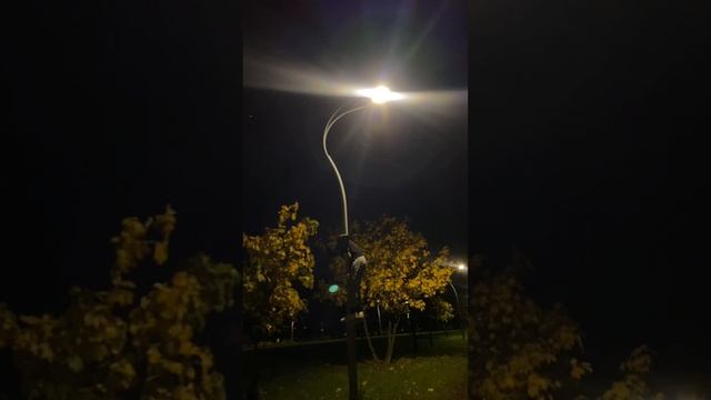 + кто так умеет #workoutmotivation