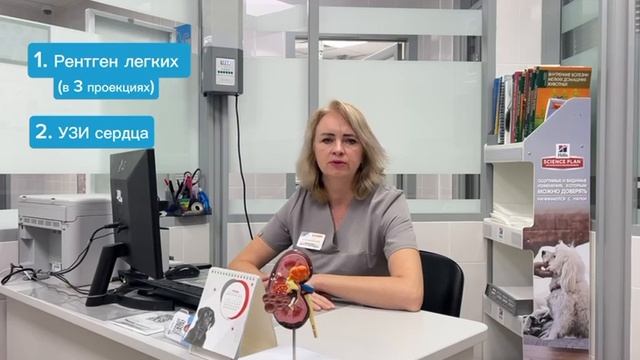 Опухоли молочных желез у животных⚕️. Рекомендации ветеринарного врача Лизуновой Ирины Николаевны