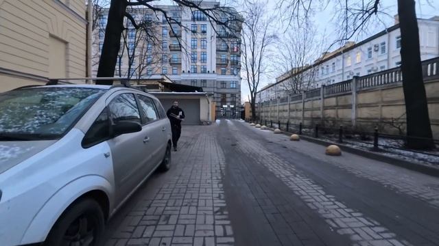 Грибная разведка 23 ноября 2024. Всеволожский район.
