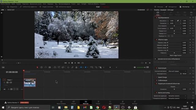 Эффект падающего снега в Davinci Resolve