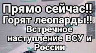МРИЯ⚡️ 05.01.2025 ТАМИР ШЕЙХ / ЕВГЕНИЙ ШИХАЛЕЕВ. НАСТУПЛЕНИЯ ВСУ И РОССИИ. Сводки с фронта