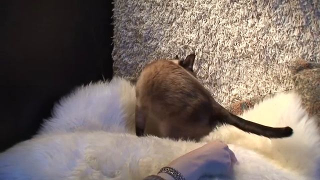 Хантоша