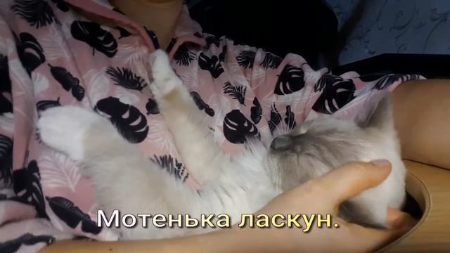 Мотя.