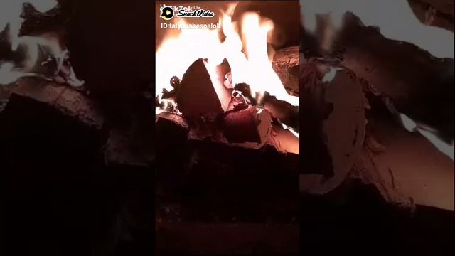 1000230653.mp4