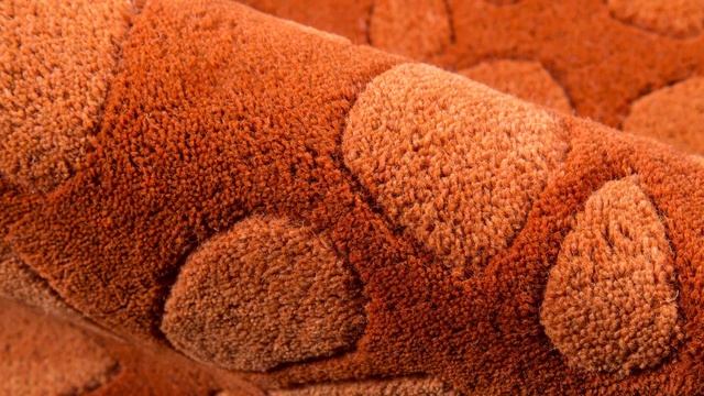 Momeni Delhi Paprika Rug - FurnishMyPlace.com