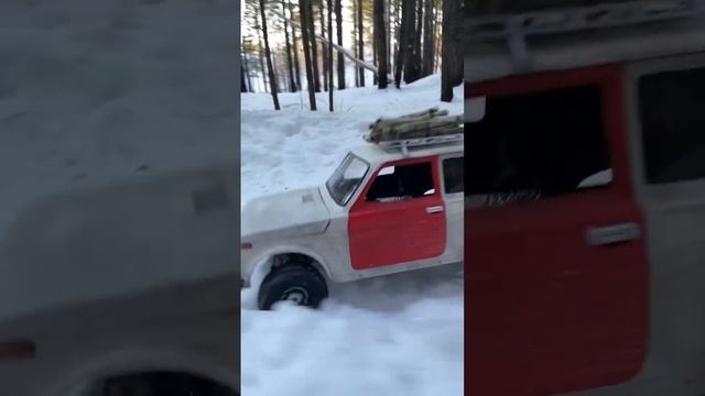 Нива в лесу