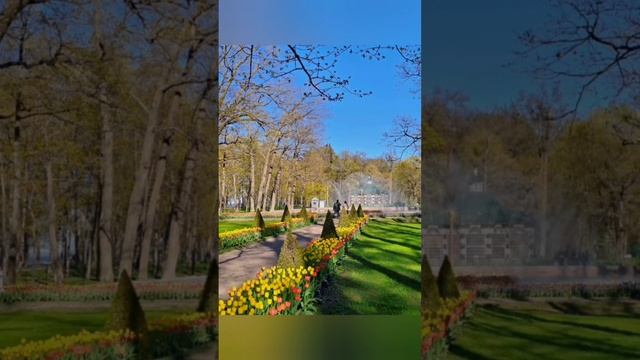 Петергоф.