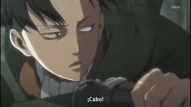 Attack On Titan All Petra Screen Time